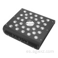 Spectrum completo de 600W LED LECH para suculento